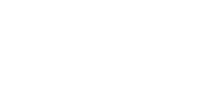 Skelio Hosting